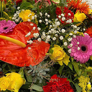 Quelles fleurs choisir pour un remerciement professionnel | félicitations collègue | départ en retraite.
