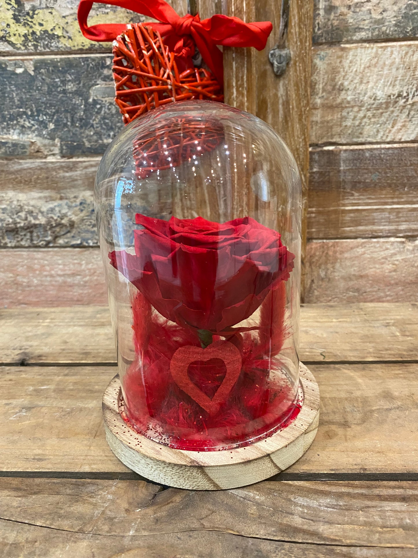 Rose éternelle sous cloche pour les amoureux