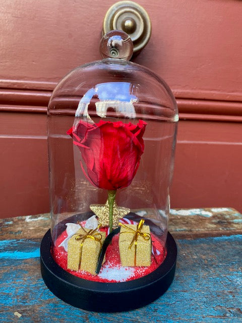Rose éternelle ou stabilisée sous cloche couleur rouge